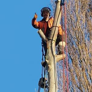 Andrew Patterson ascending a tree