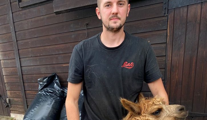 Daniel Wall with an alpaca