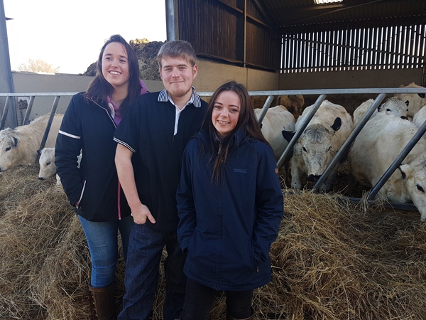 Agriculture students stood in front of cows on Broomfield Hall's farm